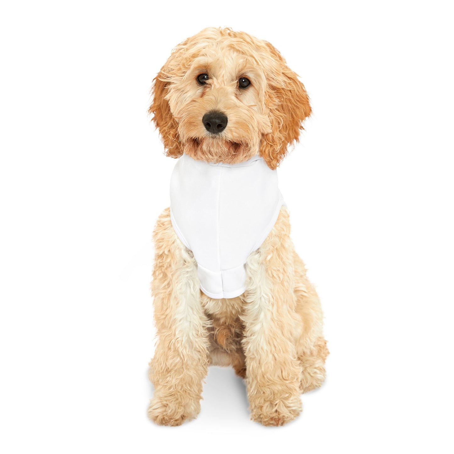 Blue Bow Pet Hoodie