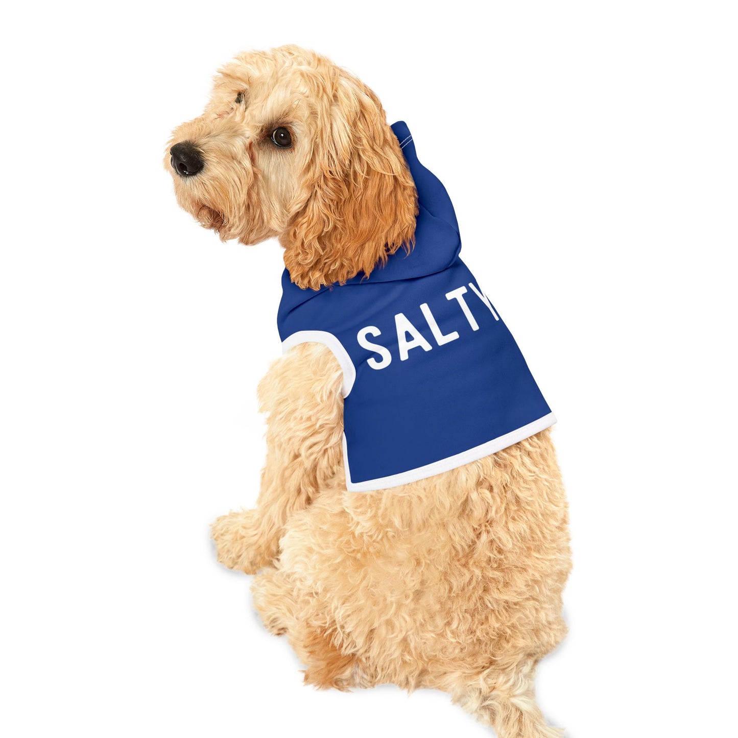 Salty Coastal Pet Hoodie