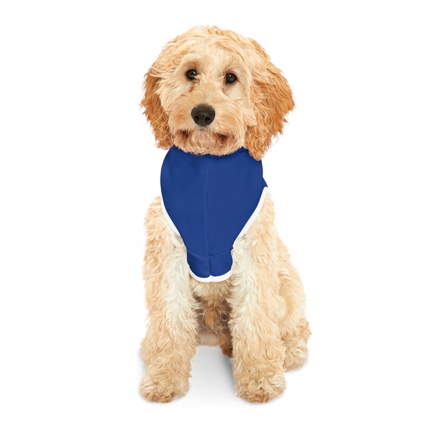 Salty Coastal Pet Hoodie