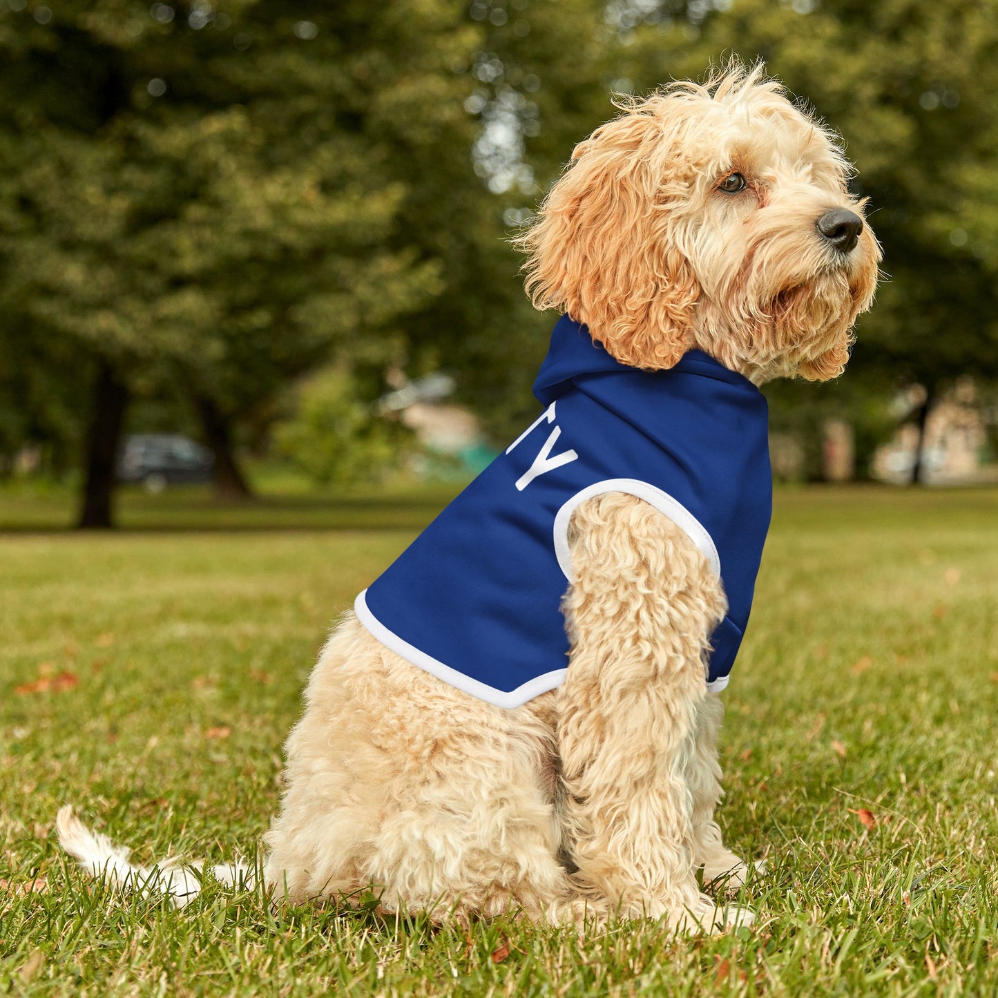 Salty Coastal Pet Hoodie