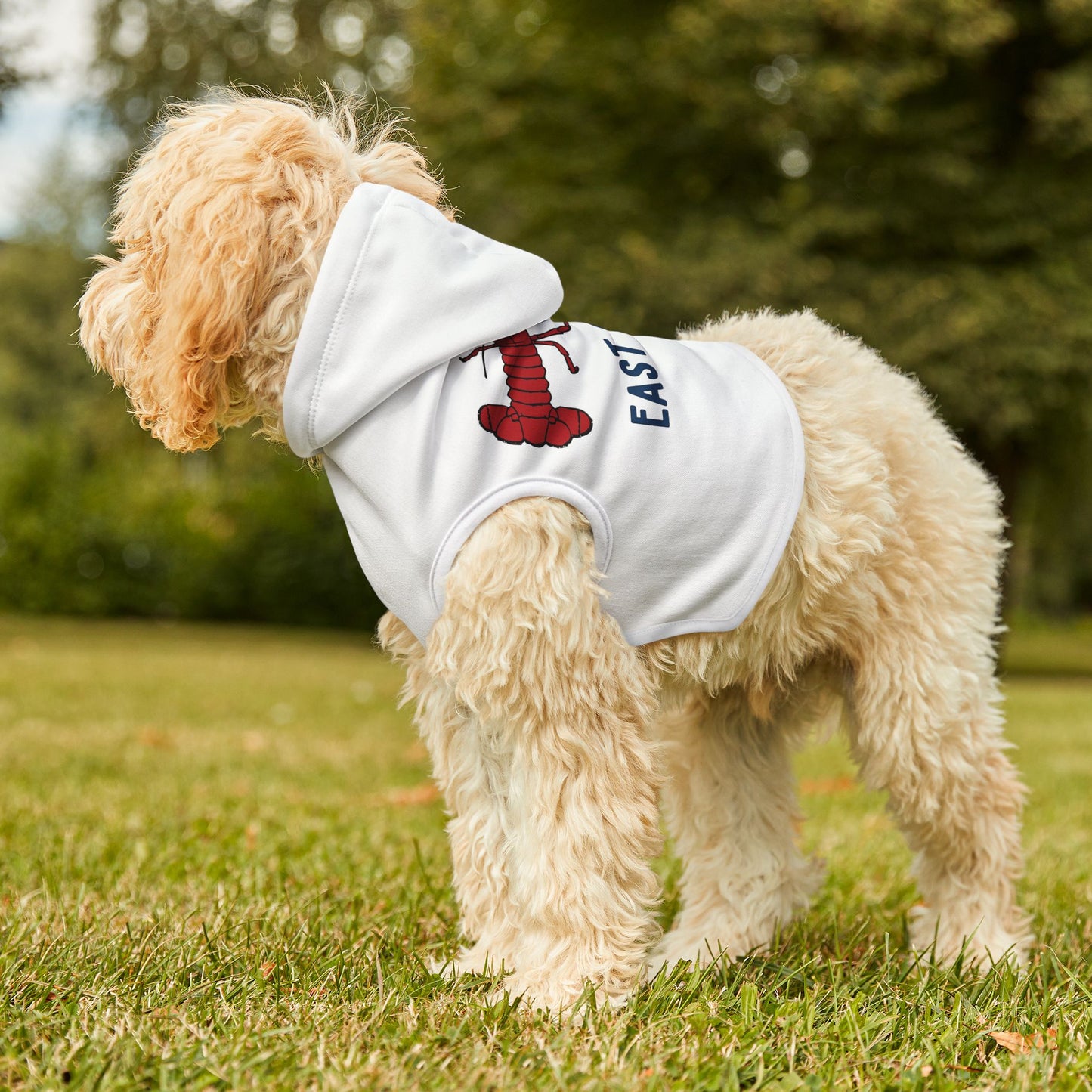 East Coast Lobster Pet Hoodie