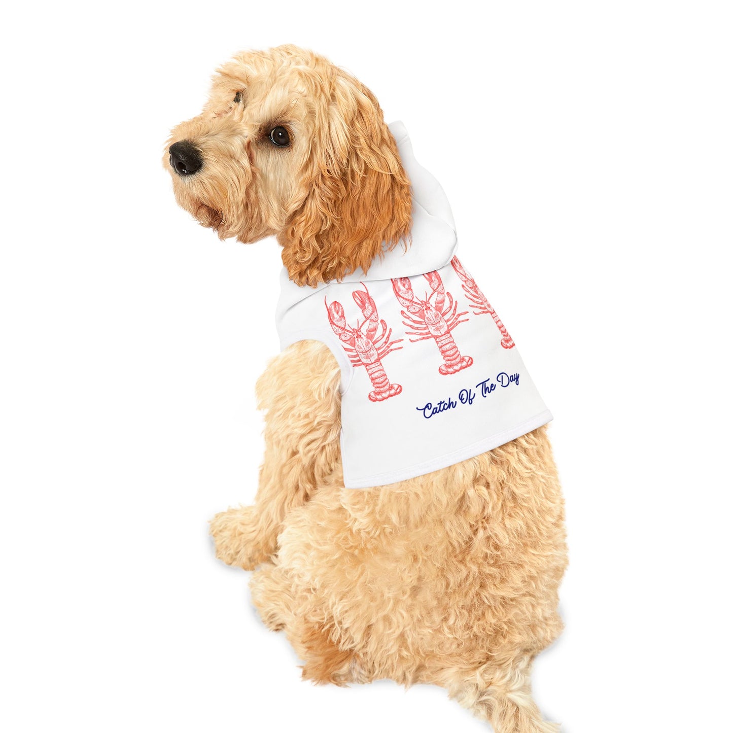 Lobster Pet Hoodie