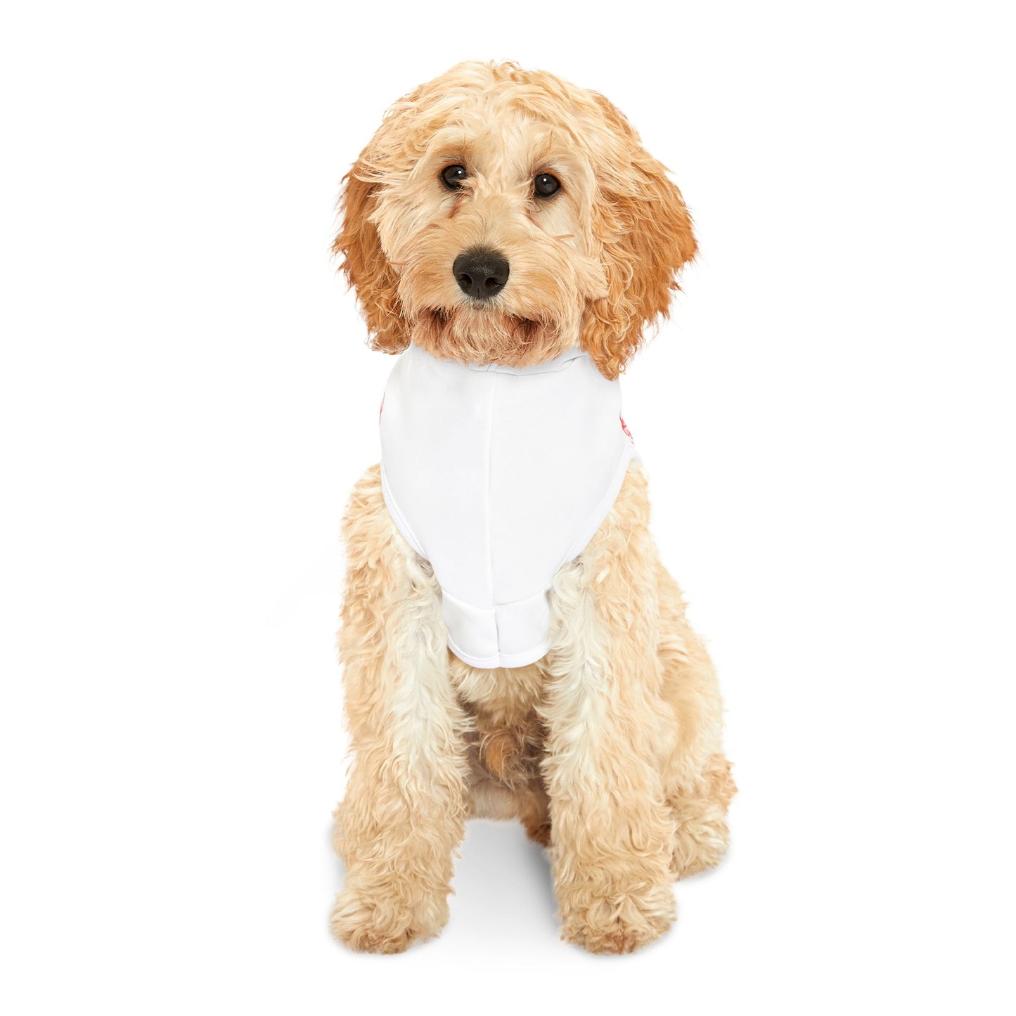 Lobster Pet Hoodie
