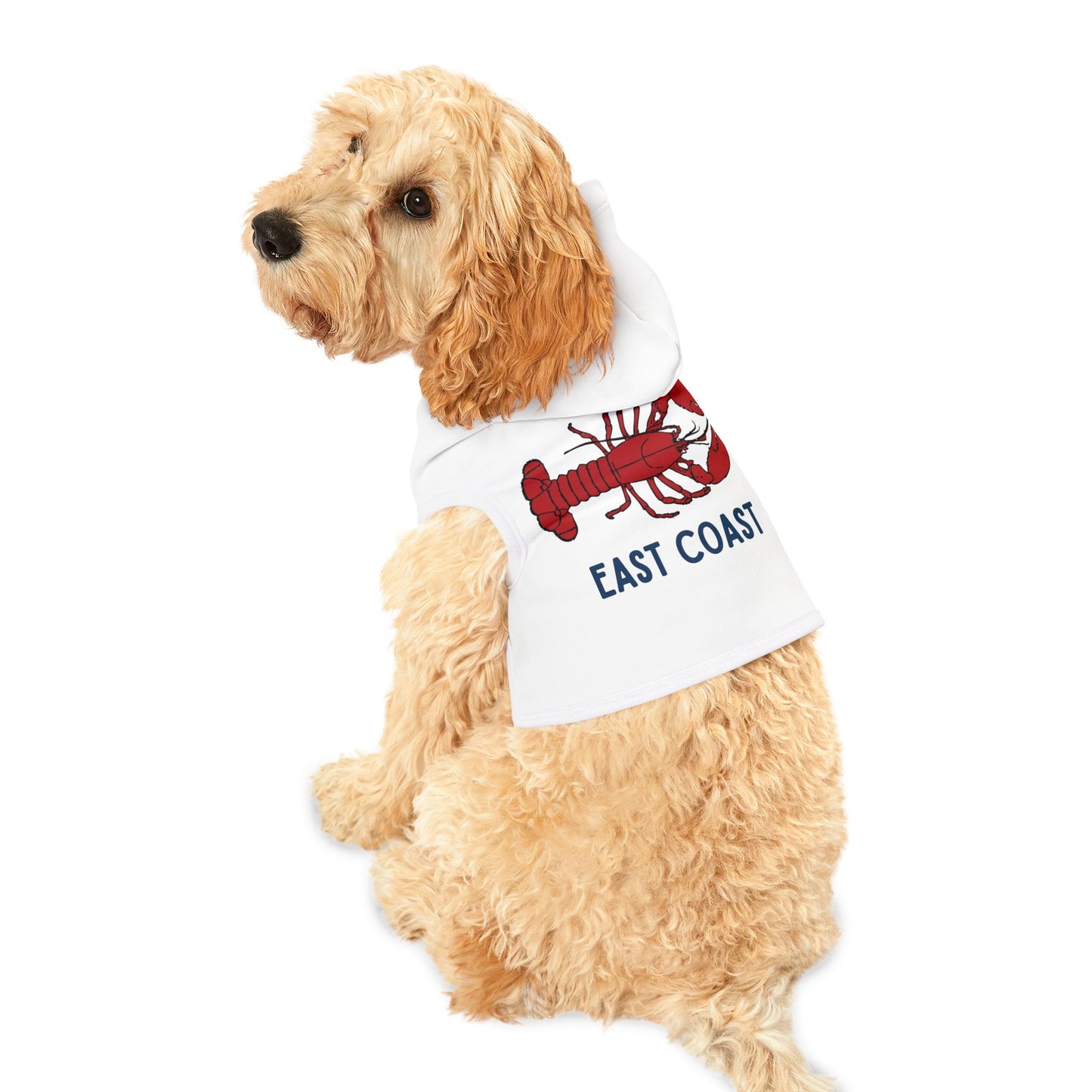 East Coast Lobster Pet Hoodie