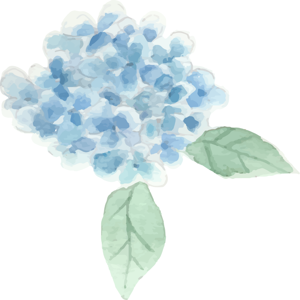 In-Home Design & Shopping (Long Island Only)